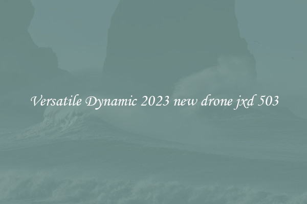 Versatile Dynamic 2023 new drone jxd 503