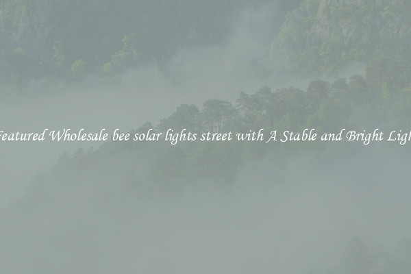 Featured Wholesale bee solar lights street with A Stable and Bright Light