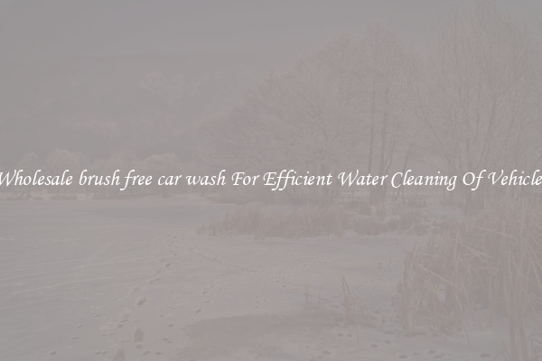 Wholesale brush free car wash For Efficient Water Cleaning Of Vehicles