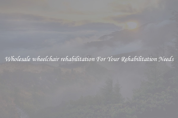 Wholesale wheelchair rehabilitation For Your Rehabilitation Needs