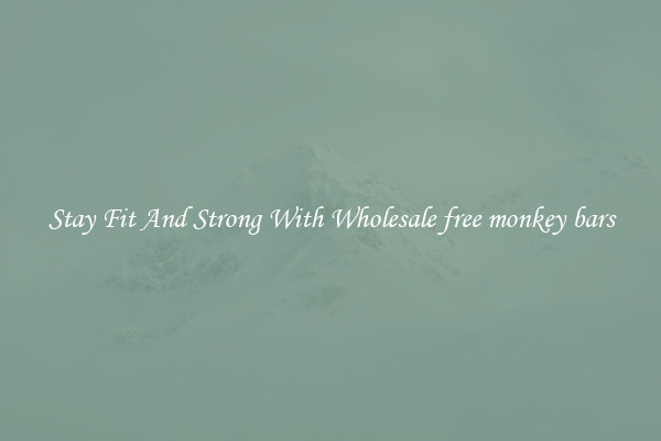 Stay Fit And Strong With Wholesale free monkey bars