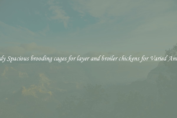 Sturdy Spacious brooding cages for layer and broiler chickens for Varied Animals