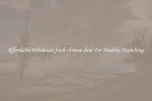 Affordable Wholesale fresh chinese date For Healthy Munching 