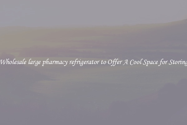 Wholesale large pharmacy refrigerator to Offer A Cool Space for Storing