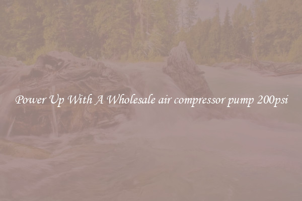 Power Up With A Wholesale air compressor pump 200psi