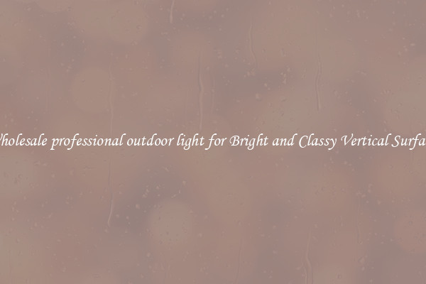 Wholesale professional outdoor light for Bright and Classy Vertical Surfaces