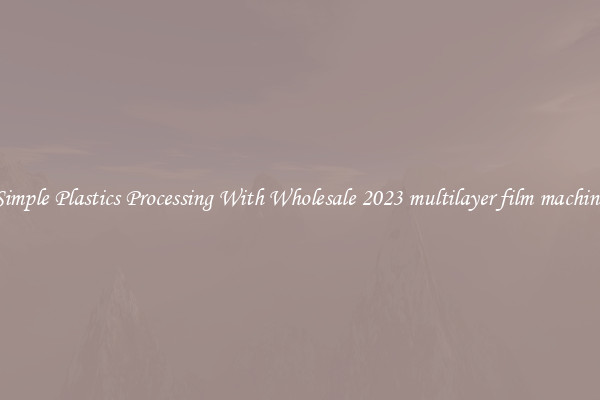 Simple Plastics Processing With Wholesale 2023 multilayer film machine