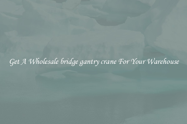 Get A Wholesale bridge gantry crane For Your Warehouse