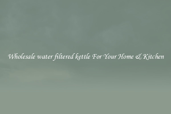 Wholesale water filtered kettle For Your Home & Kitchen