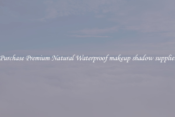 Purchase Premium Natural Waterproof makeup shadow supplier