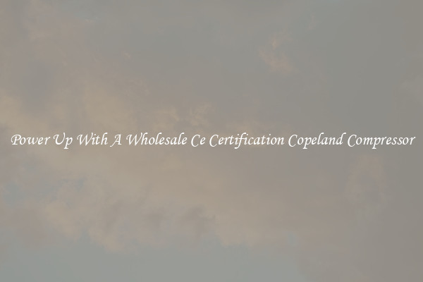 Power Up With A Wholesale Ce Certification Copeland Compressor