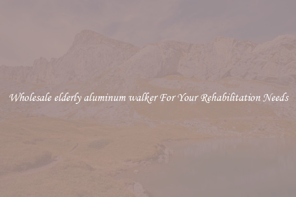 Wholesale elderly aluminum walker For Your Rehabilitation Needs