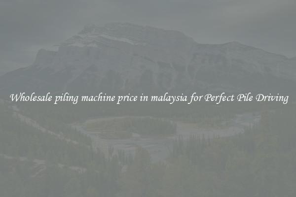 Wholesale piling machine price in malaysia for Perfect Pile Driving