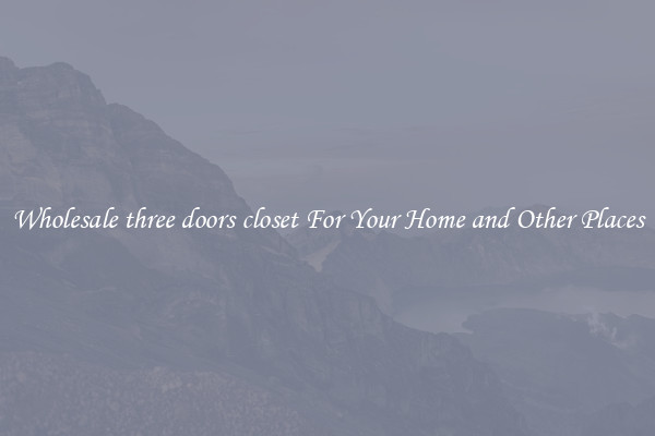 Wholesale three doors closet For Your Home and Other Places