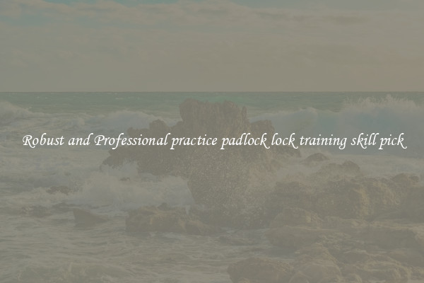 Robust and Professional practice padlock lock training skill pick