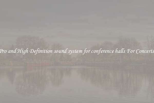 Pro and High Definition sound system for conference halls For Concerts 